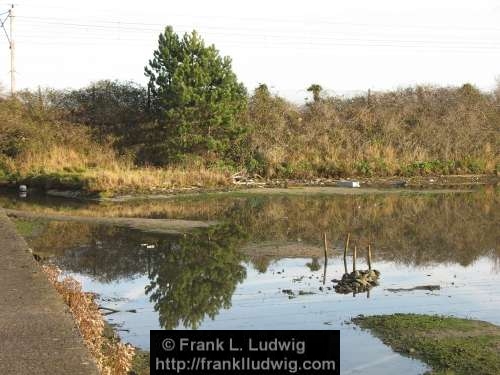 Booterstown Nature Reserve